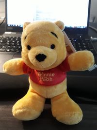 Und sein Winnie-Pooh